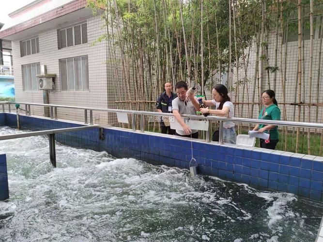 绵阳环境监测人员眼中的中央生态环境保护督察 是这样的